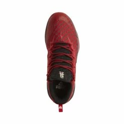 Chaussures Indoor Peak Lou Williams 2 -France Batterie pour vélo électrique Soldes Boutique e91351a 04 2